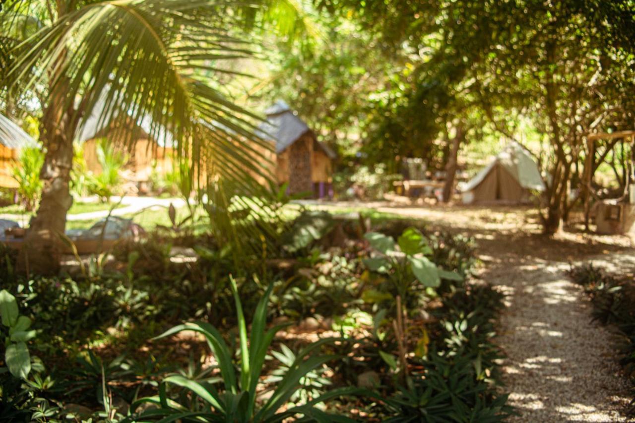 Lost Boyz Hostel Playa Santa Teresa  Ngoại thất bức ảnh