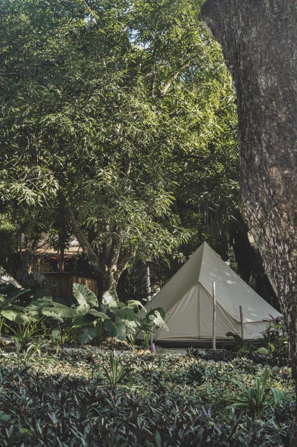 Lost Boyz Hostel Playa Santa Teresa  Ngoại thất bức ảnh