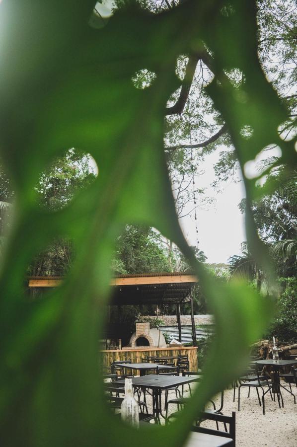 Lost Boyz Hostel Playa Santa Teresa  Ngoại thất bức ảnh